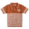 polo brown tshirts1
