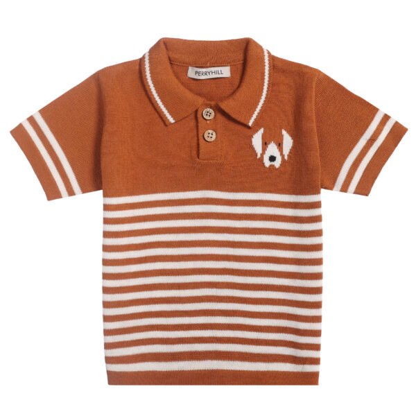 polo brown tshirts1