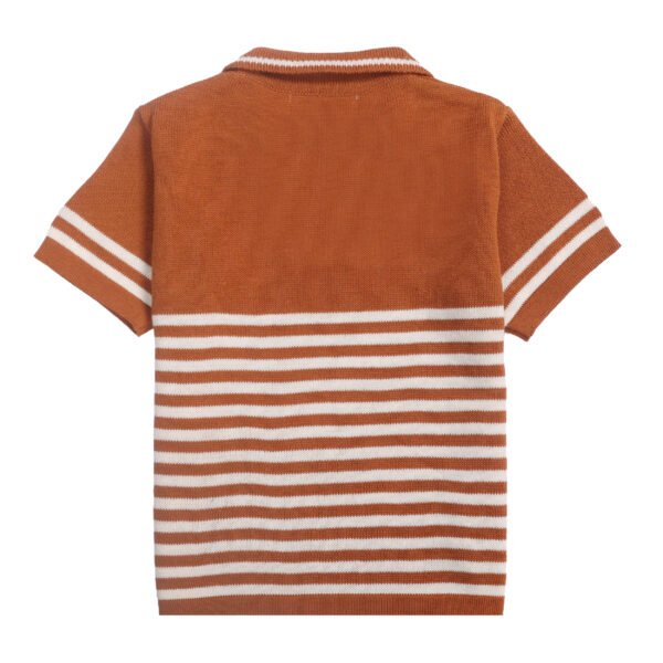 polo brown tshirts2