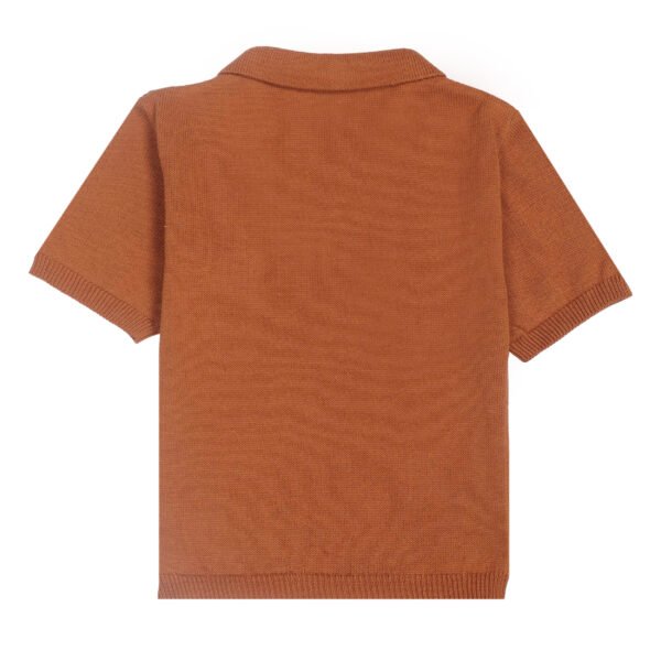 brown polo t-shirts image2