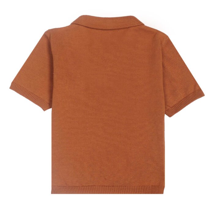brown polo t-shirts image2