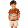 polo brown tshirts