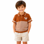 polo brown tshirts