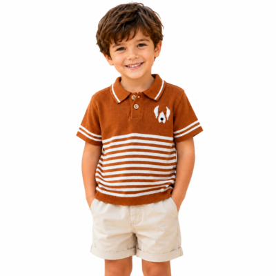 polo brown tshirts