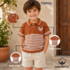 polo brown tshirts3