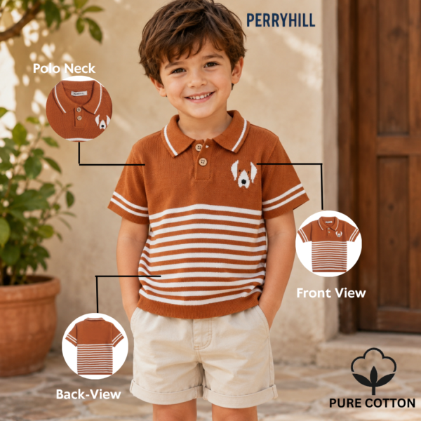 polo brown tshirts3
