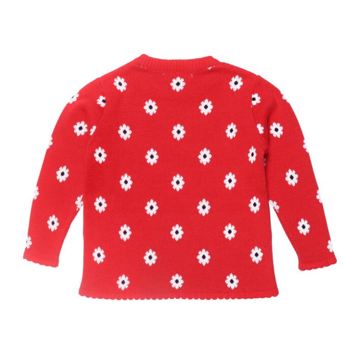 Winter Outfit for Girls
